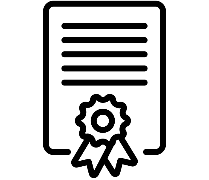 Certificate Icon for TRIUMPH MOTORCYCLE DAYTONA 2009