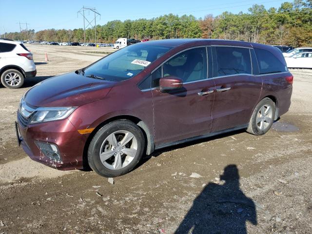 Image 1 of 2019 HONDA ODYSSEY EXL 2019 with VIN 5FNRL6H75KB086171