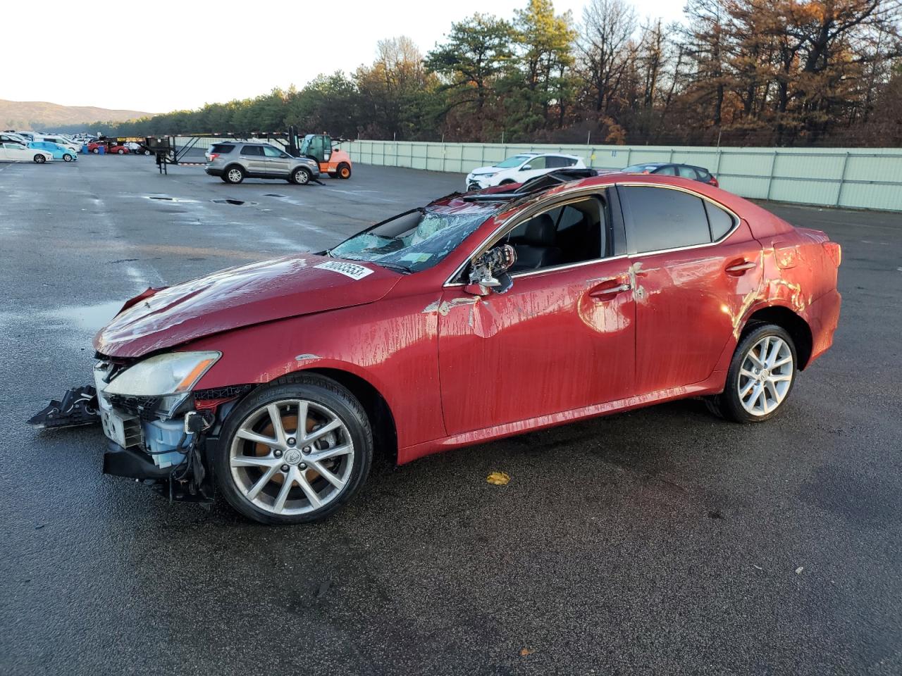 Obraz 2013 LEXUS IS 250 2013