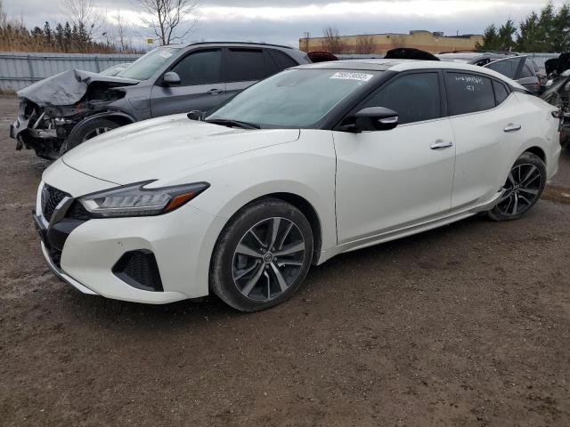 Image 1 of 2021 NISSAN MAXIMA SL 2021 with VIN 1N4AA6DV3MC508550