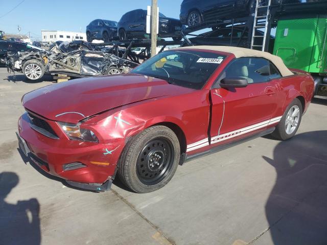 2011 FORD MUSTANG  2011 image