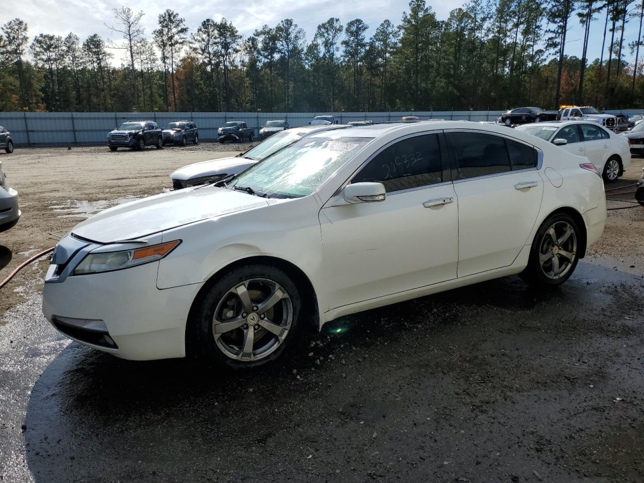 Изображение 2010 ACURA TL  2010