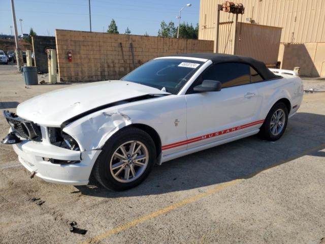 Image 1 of 2005 FORD MUSTANG  2005 with VIN 1ZVFT84N855253936