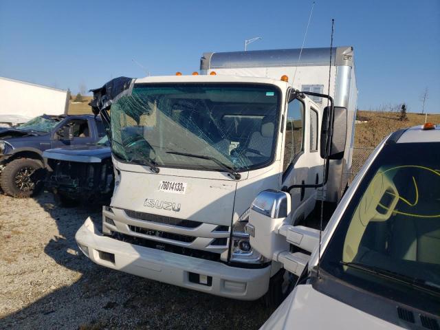 Obraz 2024 ISUZU NPR HD  2024