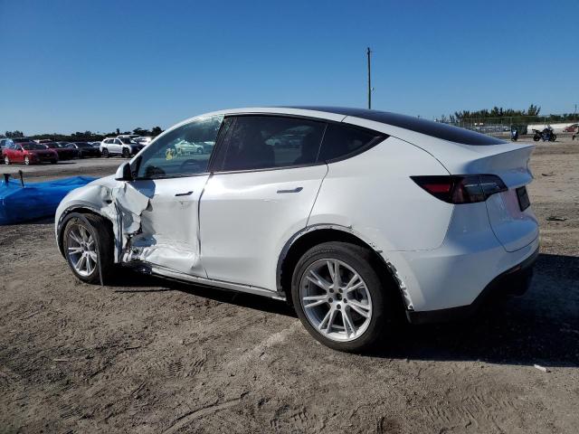 Image 2 of 2023 TESLA MODEL Y  2023 with VIN 7SAYGAEEXPF584995