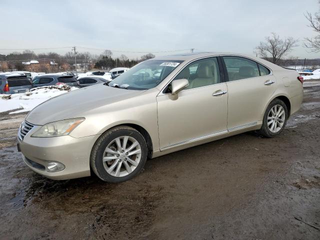 Obraz 2011 LEXUS ES 350 2011