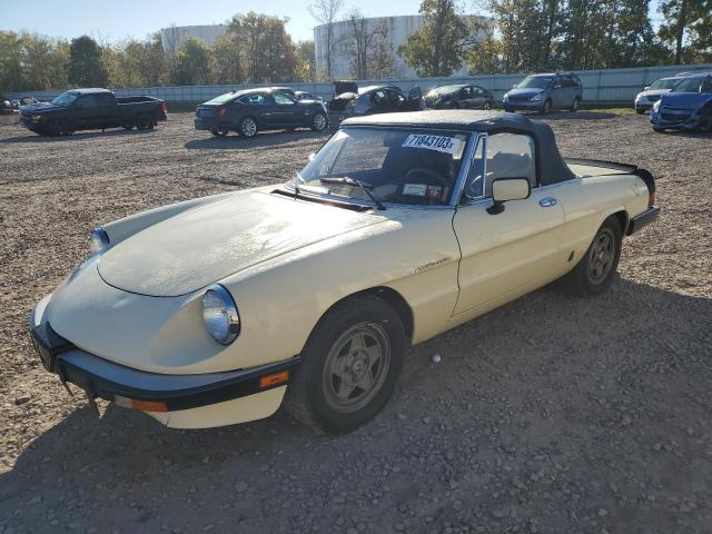 Obraz 1984 ALFA ROMEO VELOCE 2000 SPIDER 1984