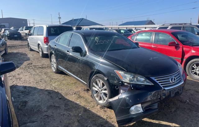 Obraz 2011 LEXUS ES 350 2011