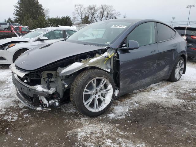 Obraz 2023 TESLA MODEL Y  2023