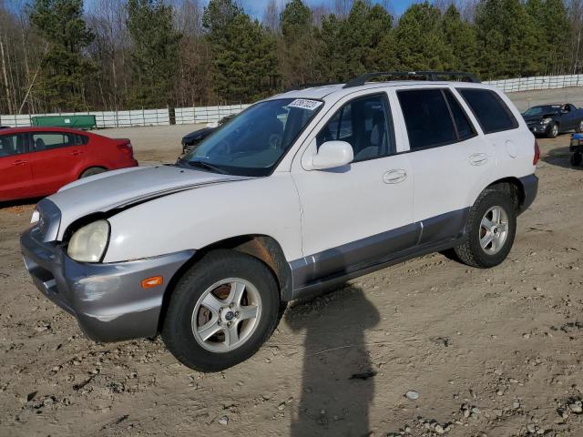 Изображение 1 2004 HYUNDAI SANTA FE GLS 2004 с VIN KM8SC13D04U700311
