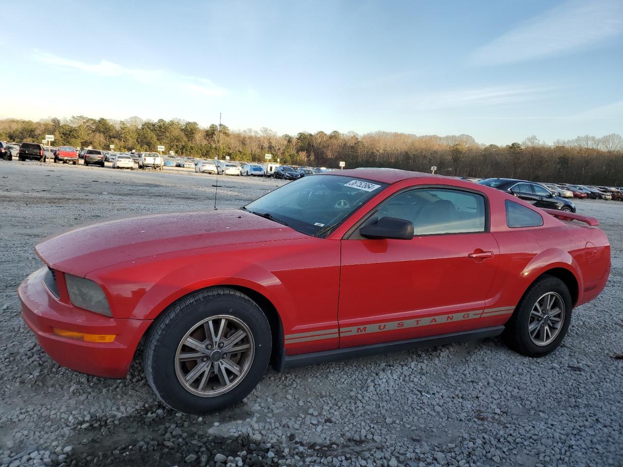Obraz 1 z 2005 FORD MUSTANG  2005 z VIN 1ZVFT80N155183847