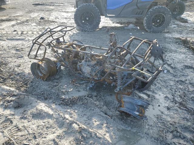 2004 HONDA TRX400 FA 2004 image