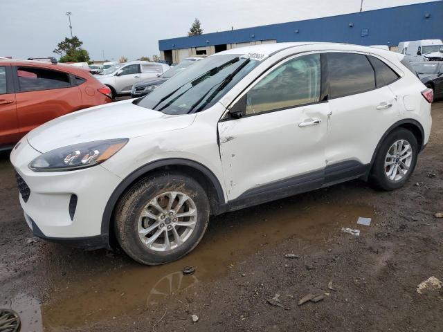 2020 FORD ESCAPE SE 2020 image