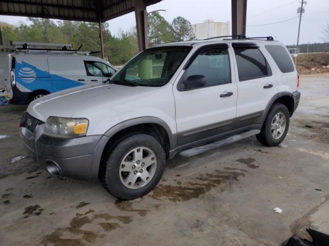 2005 FORD ESCAPE XLT 2005 image