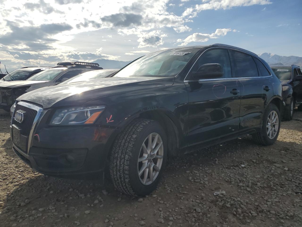 Изображение 2010 AUDI Q5 PREMIUM PLUS 2010