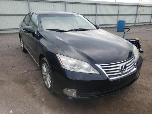 Obraz 2011 LEXUS ES 350 2011