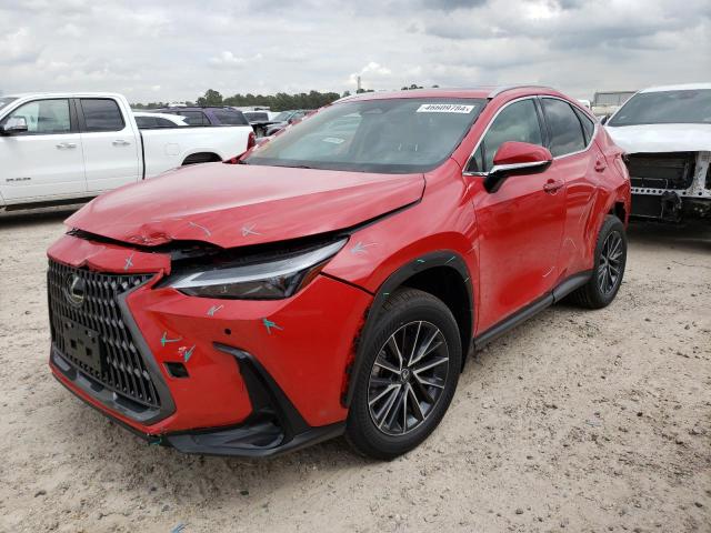 Obraz 2024 LEXUS NX 250 PREMIUM 2024