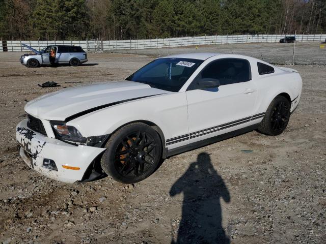 2012 FORD MUSTANG  2012 image