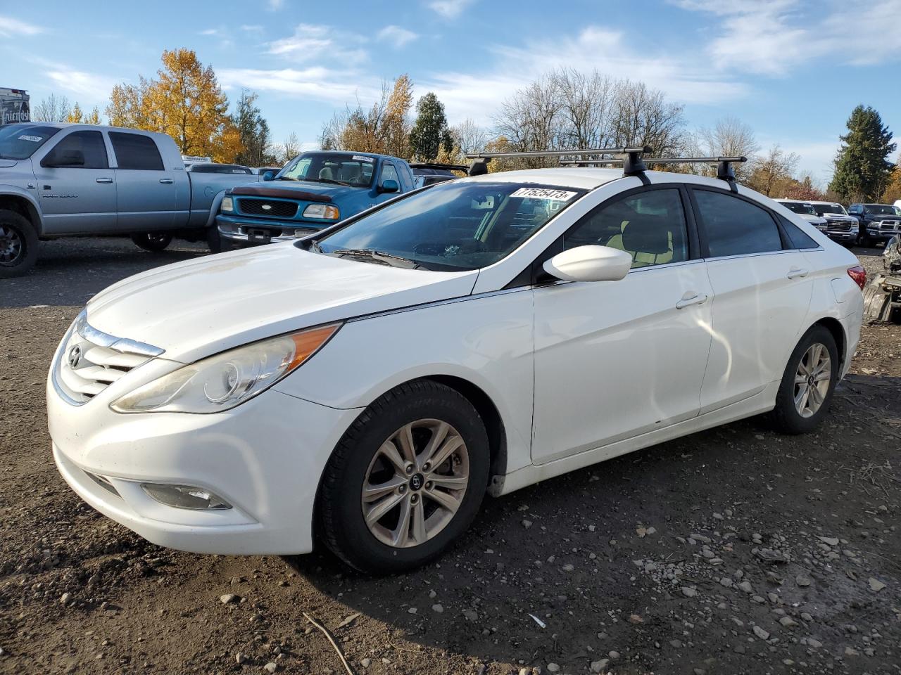 Obraz Hyundai Sonata Gls 2013