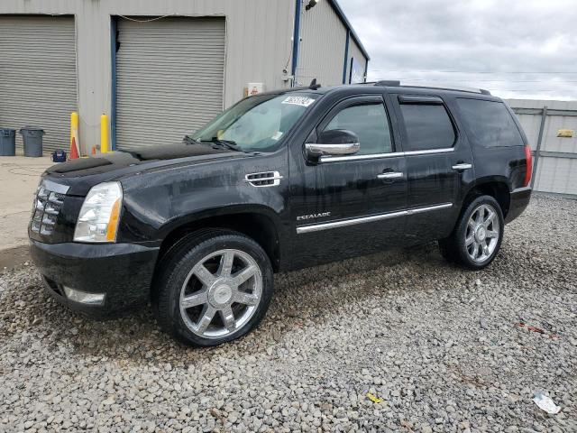 Image 1 of 2010 CADILLAC ESCALADE PREMIUM 2010 with VIN 1GYUKCEF6AR271355