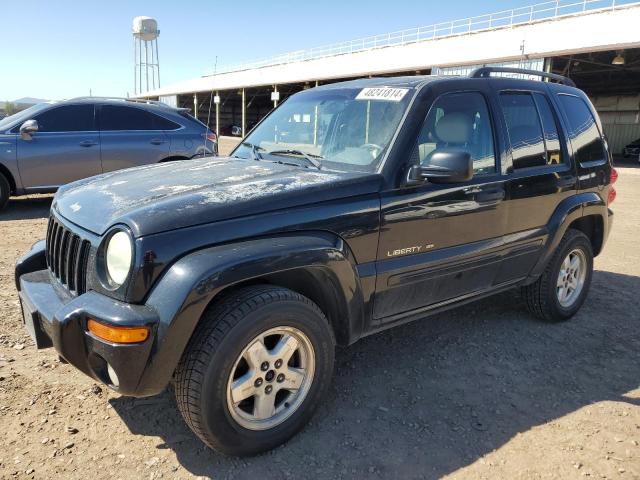 2003 JEEP LIBERTY LIMITED 2003 image