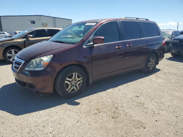 Image 1 of 2007 HONDA ODYSSEY EXL 2007 with VIN 5FNRL38647B444941
