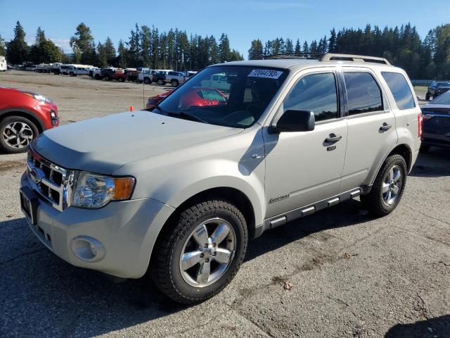 Image 1 of 2008 FORD ESCAPE XLT 2008 with VIN 1FMCU93158KD82659
