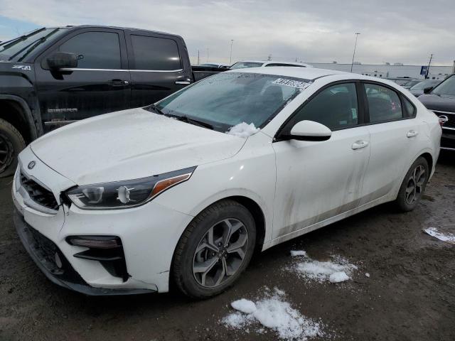 Obraz 2019 KIA FORTE FE 2019