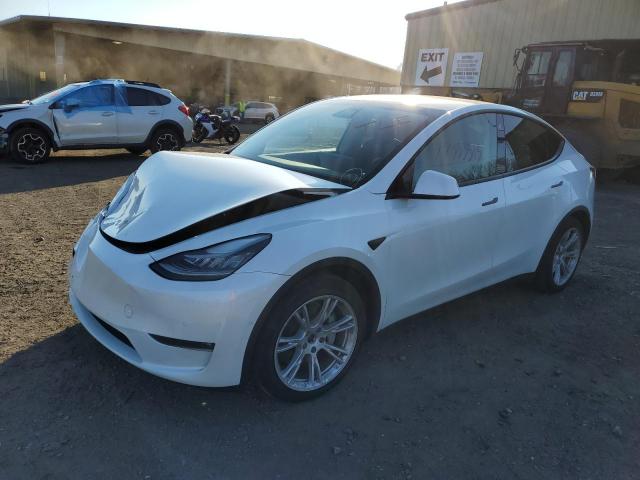 Изображение 2021 TESLA MODEL Y  2021