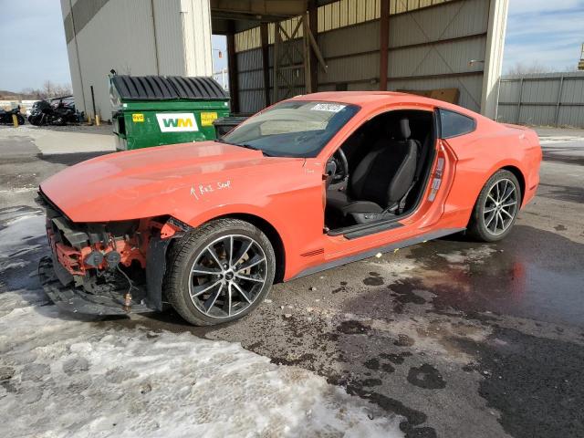 2015 FORD MUSTANG  2015 image