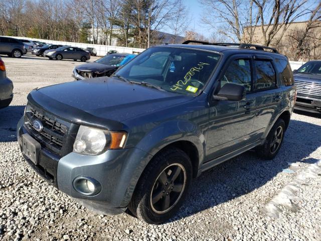 Obraz 2011 FORD ESCAPE XLT 2011