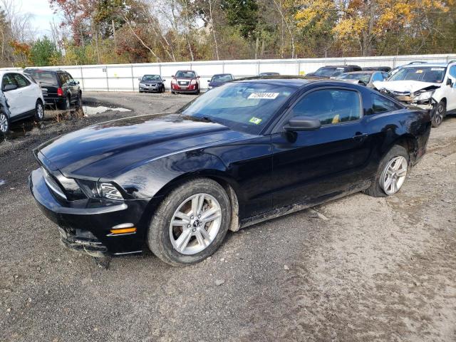 2014 FORD MUSTANG  2014 image
