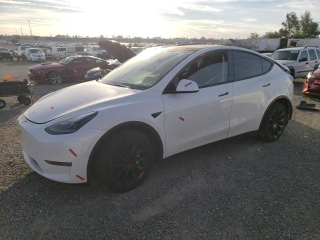 Obraz 2022 TESLA MODEL Y  2022