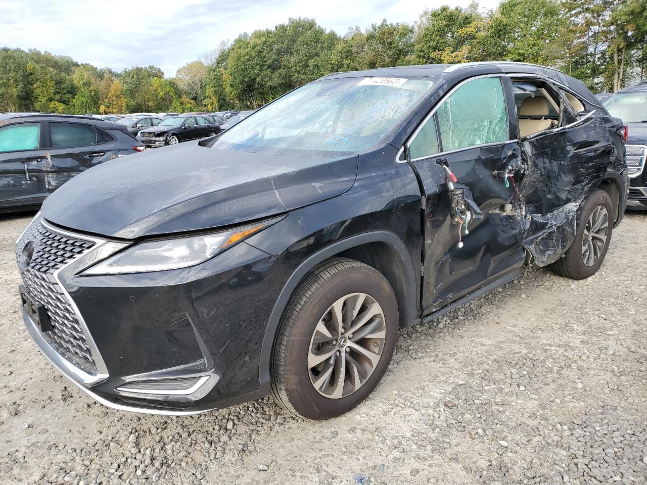 2020 LEXUS RX 350 2020 image