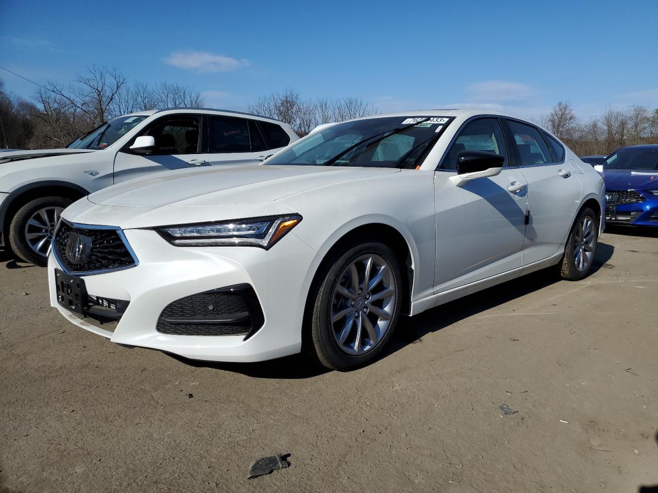 Изображение 2023 ACURA TLX  2023