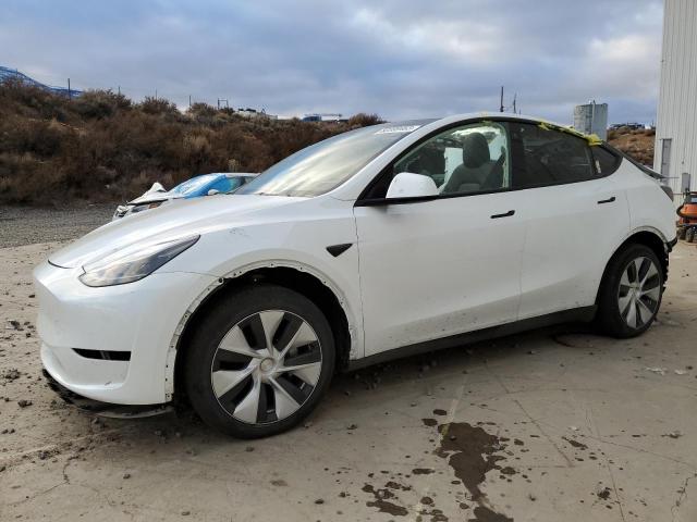 Obraz 2023 TESLA MODEL Y  2023