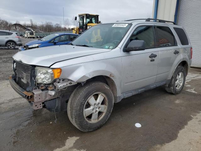 2010 FORD ESCAPE XLT 2010 image
