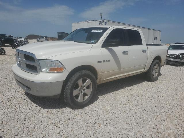 2009 DODGE RAM 1500  2009 image