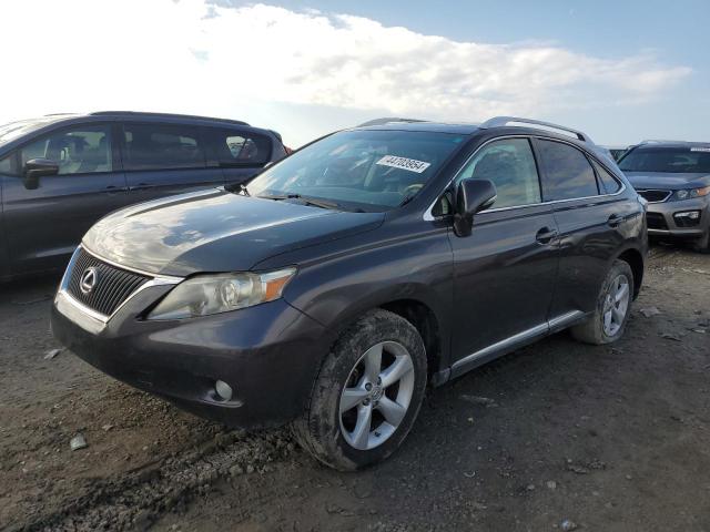 2010 LEXUS RX 350 2010 image