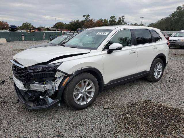 2024 HONDA CR-V EX 2024 image