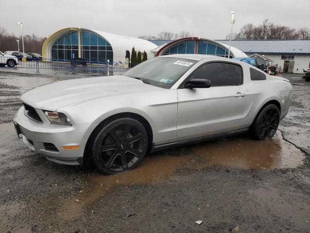 2012 FORD MUSTANG  2012 image