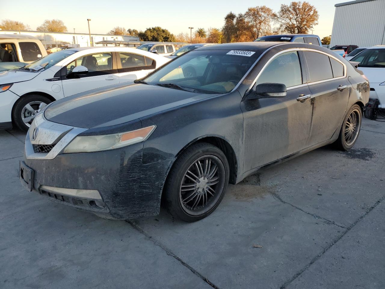 Изображение 2010 ACURA TL  2010