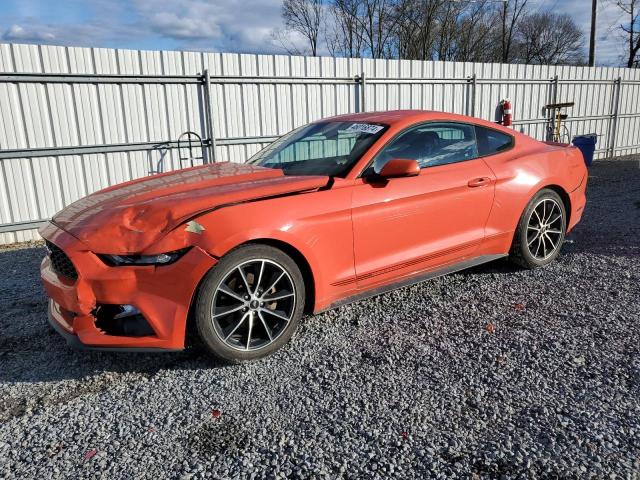 2015 FORD MUSTANG  2015 image