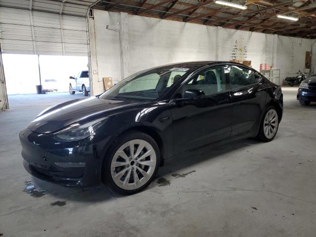 2023 TESLA MODEL 3  2023 image