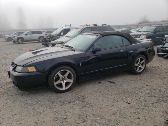 Obraz 1 z 2003 FORD MUSTANG COBRA SVT 2003 z VIN 1FAFP49Y43F406540