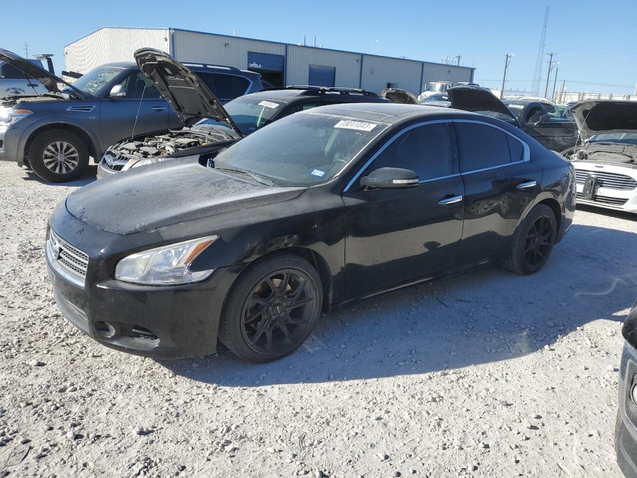 2012 NISSAN MAXIMA S 2012 image