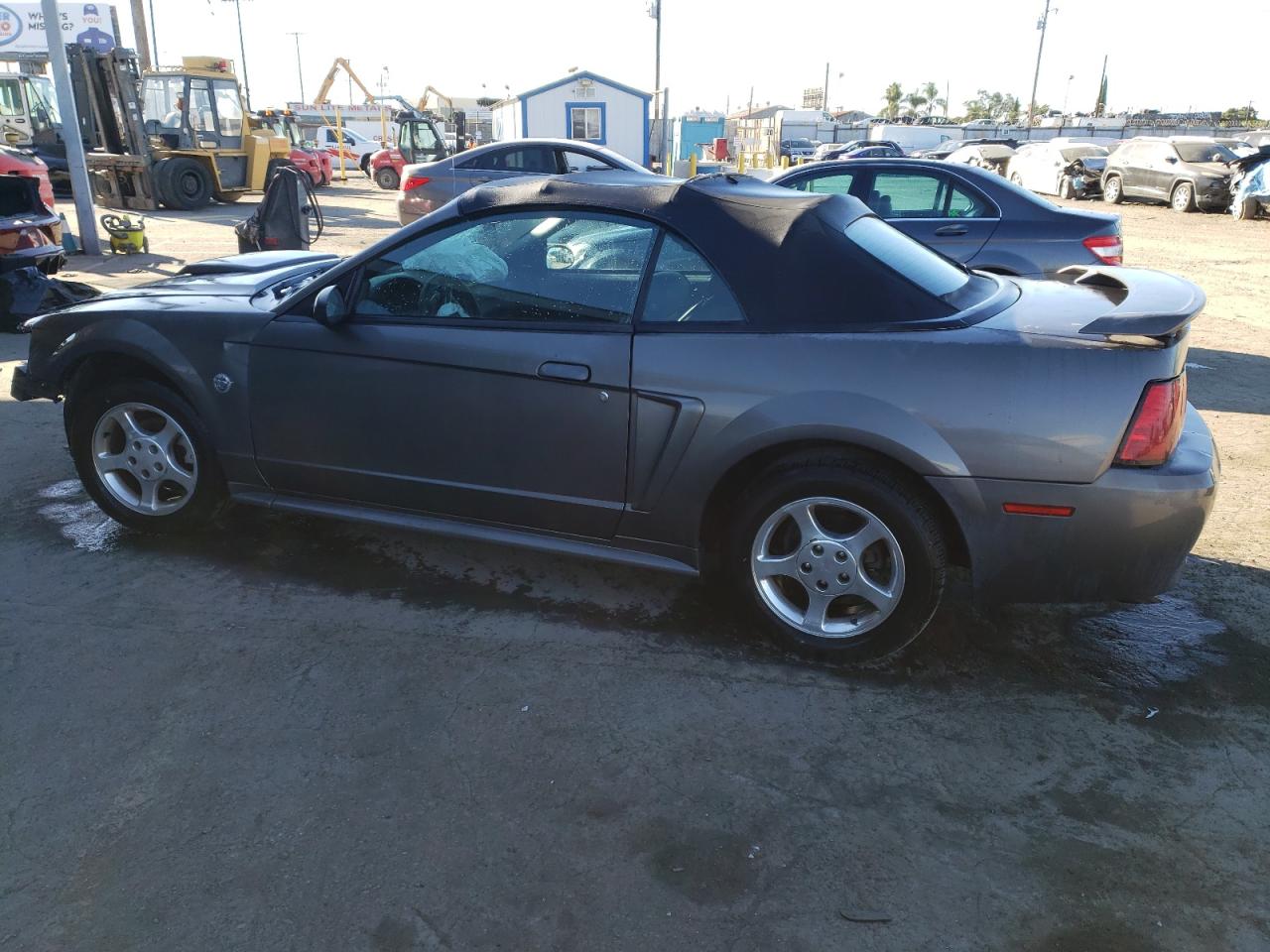 Obraz 2 z 2004 FORD MUSTANG  2004 z VIN 1FAFP44644F193032