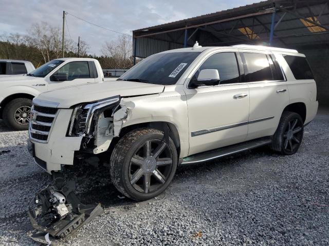 2015 CADILLAC ESCALADE LUXURY 2015 image
