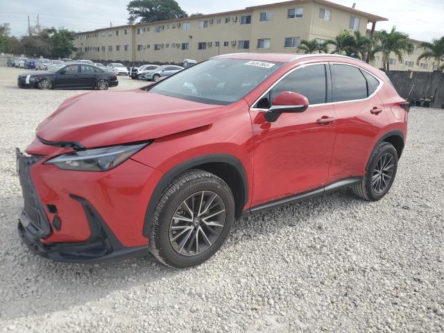 Image 1 of 2024 LEXUS NX 250 BASE 2024 with VIN 2T2ADCAZ8RC007316