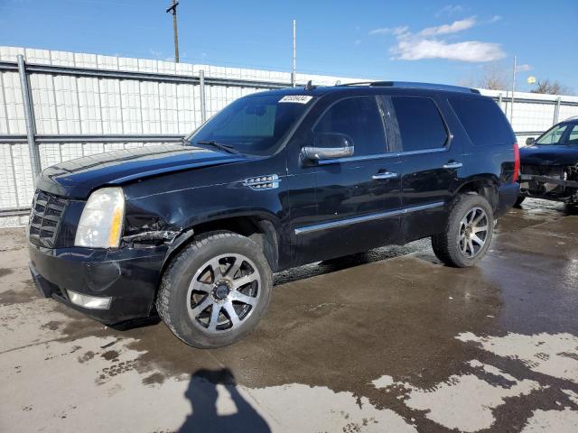 2008 CADILLAC ESCALADE LUXURY 2008 image